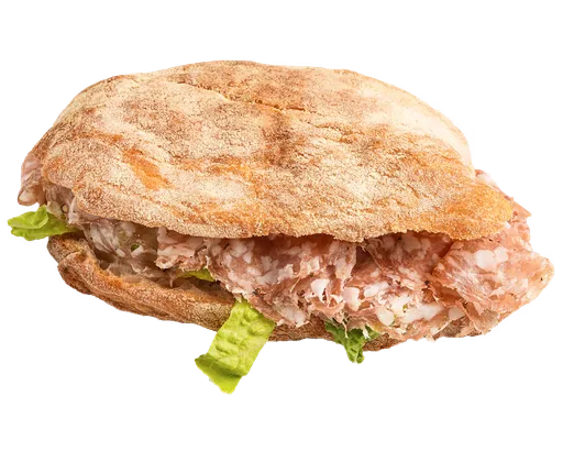 Italian paninis